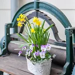 Apartamento Abendrot Ostseebad Kühlungsborn